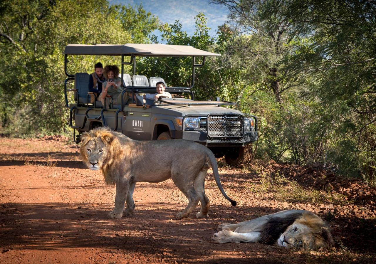 Babohi At Qwabi Private Game Reserve By Newmark ベラ・ベラ エクステリア 写真
